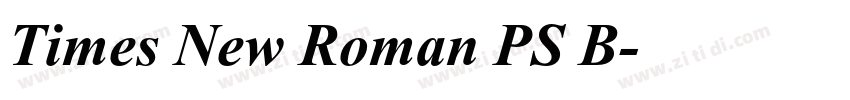 Times New Roman PS B字体转换